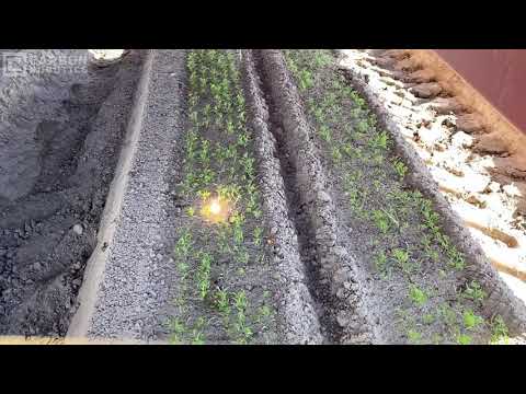 Carbon Robotics Autonomous Weeder - Laserweeding in Multiple Crops