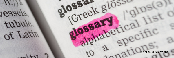 Online Glossaries