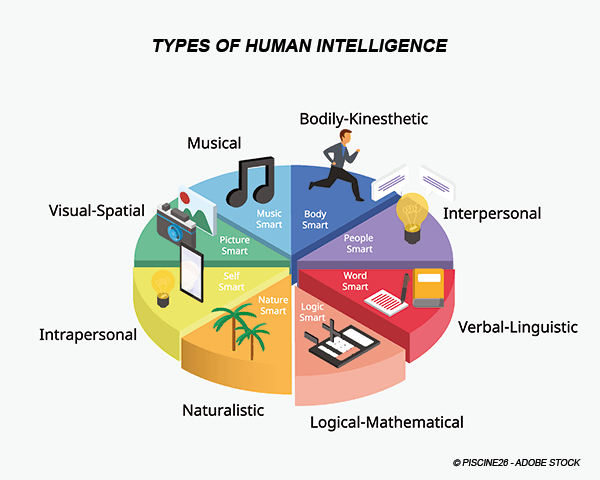 Types of human intelligence