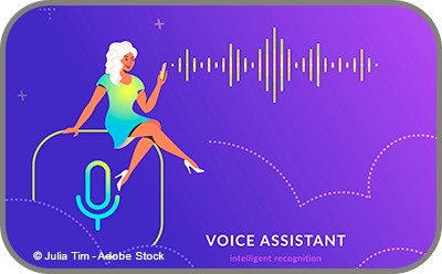 Voice Assistant