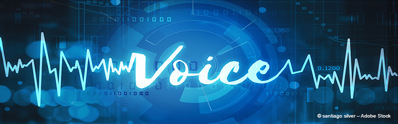 Voice Biometrics in Enterprise Security Systems